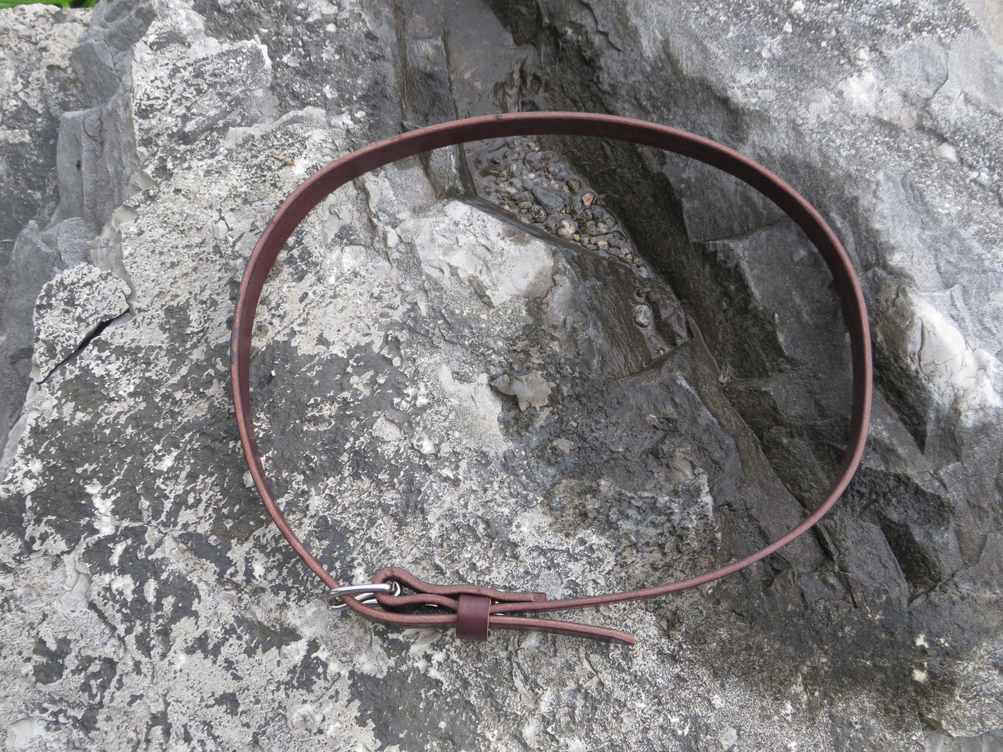 3/4" wide Dark brown Bridle Leather belt