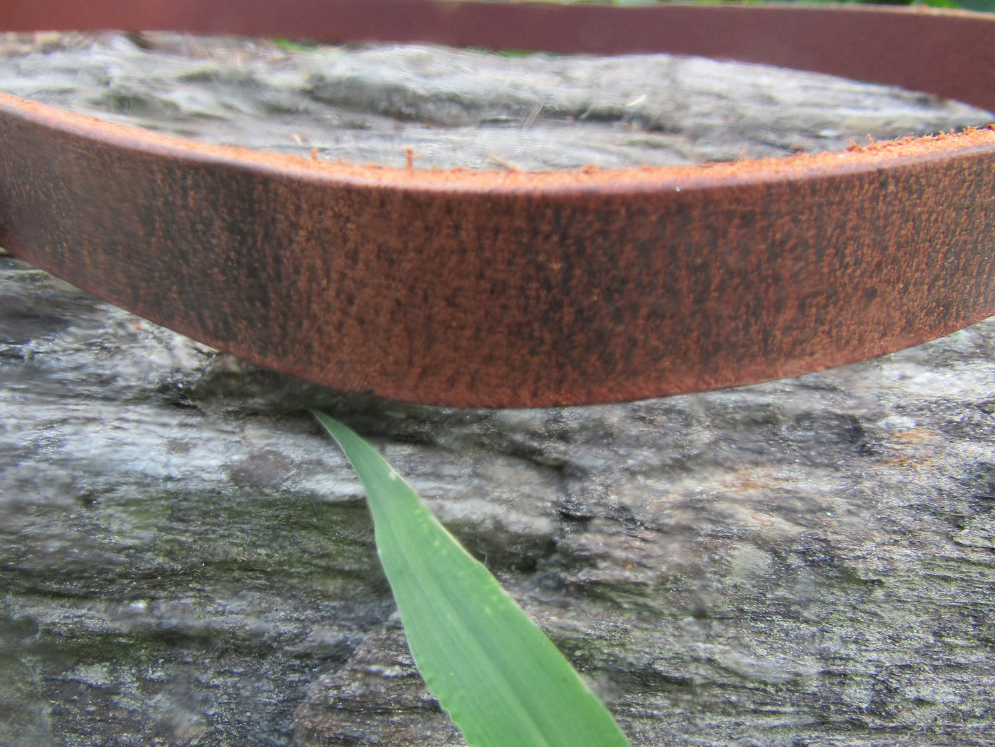 3/4" wide Crazy Horse brown Water Buffalo Belt