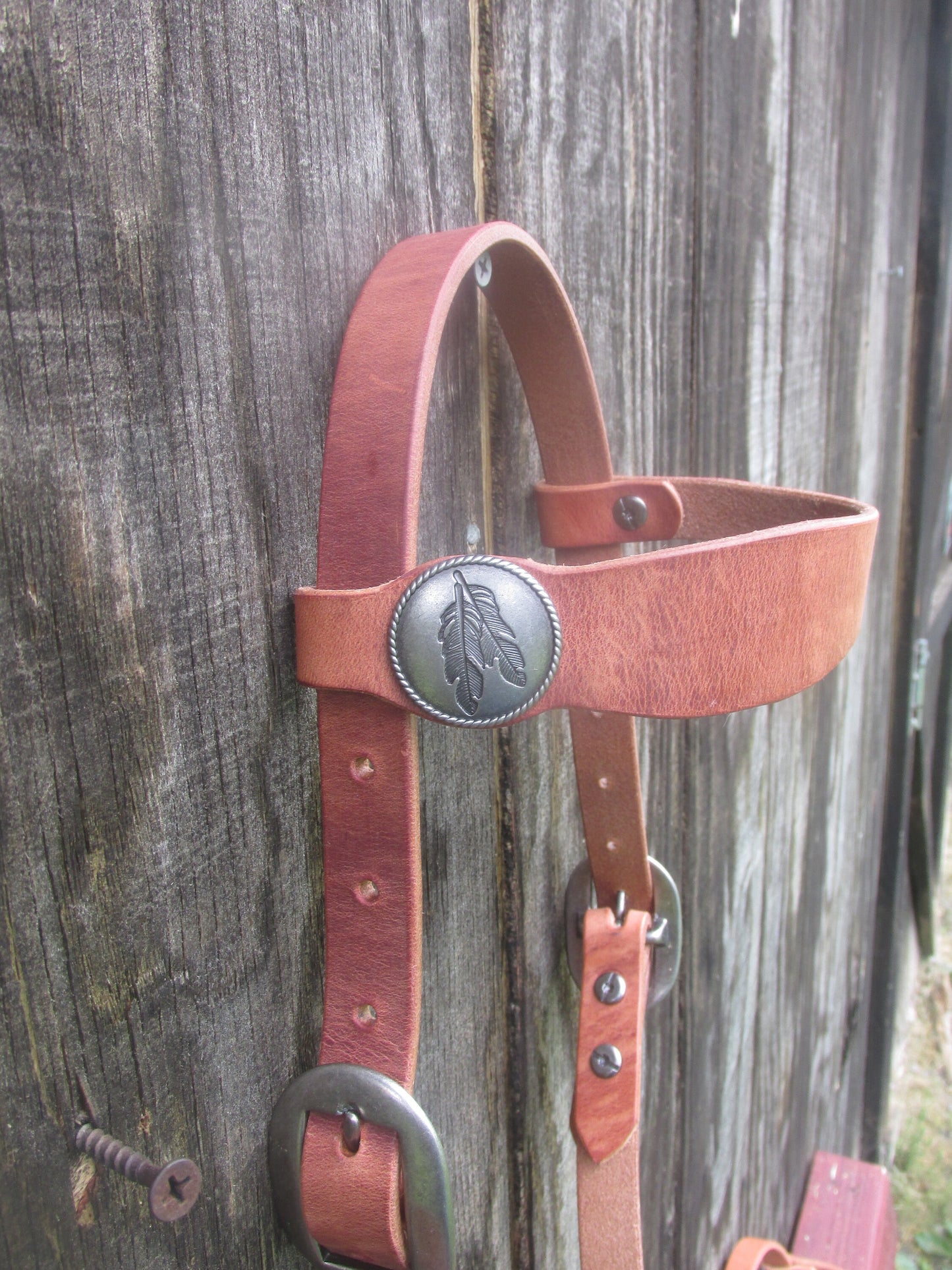 Hermann Oak Harness Leather Headstall Bridle Stainless Steel Jeremiah Watt hardware Draft to pony sizes available